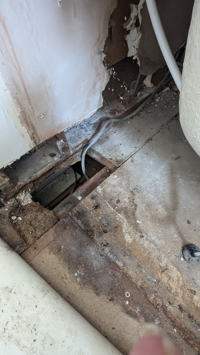 Charlotte Moreau tweet media