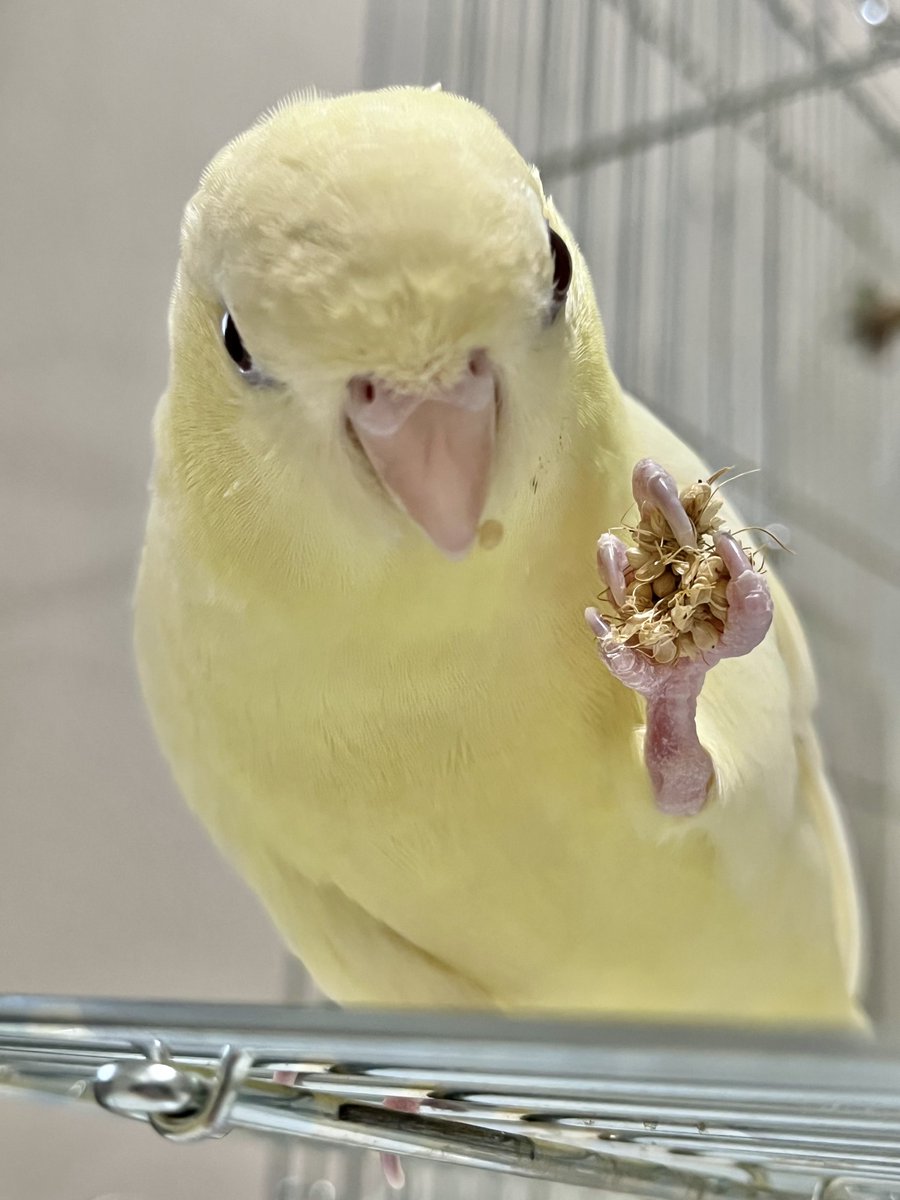 うをのめをぎん tweet media