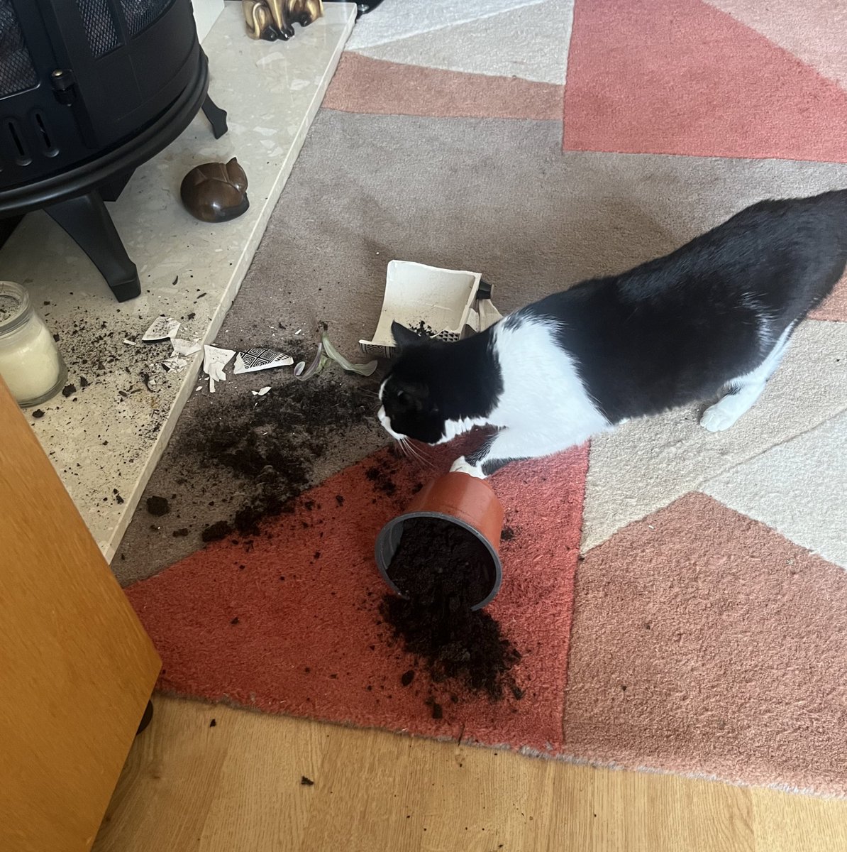 FionaBowler's tweet photo. No idea what happened here but luckily DCI Reg is on the case https://t.co/omWzctfOsB