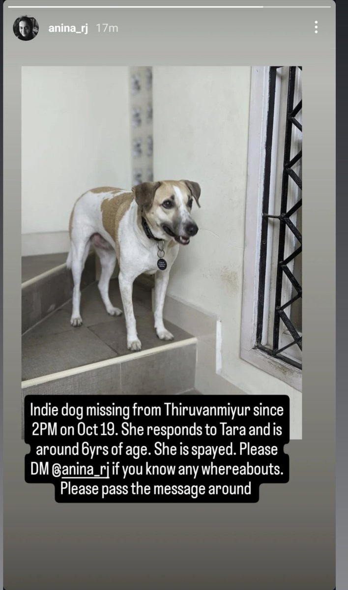 This is my friends' dog. Please share and help. 
Thank you