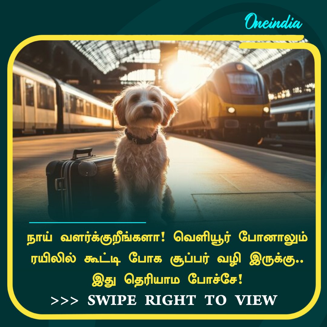 thatsTamil's tweet image. நாய் வளர்க்குறீங்களா! வெளியூர் போனாலும் ரயிலில் கூட்டி போக சூப்பர் வழி இருக்கு.. இது தெரியாம போச்சே!  

More Details: tamil.oneindia.com/news/chennai/h…

#PetDog #Train #Travel #IndianRailways #IRCTC
