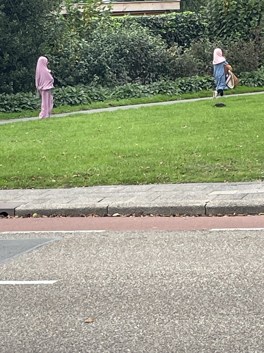 QueenYasmine155's tweet image. 5 a 6 jaar
Echt schandalig!