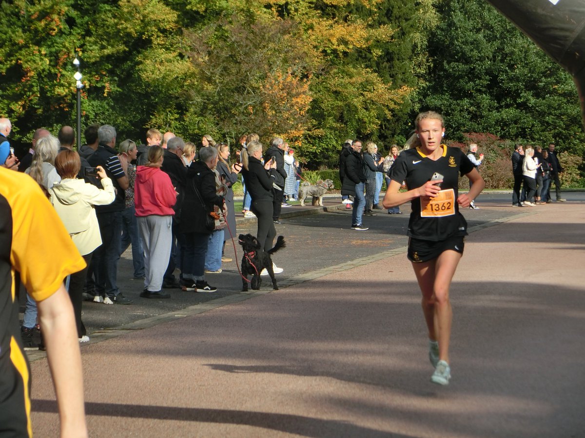 Wellington Sport tweet media