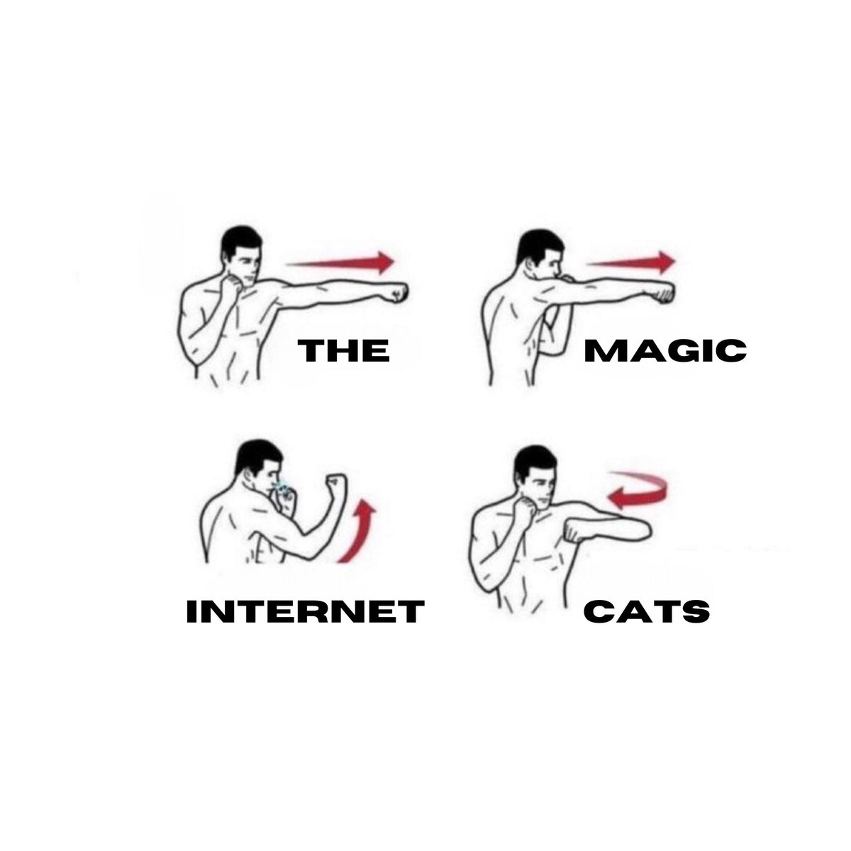 XxMagicCat's tweet image. Happy Caturday