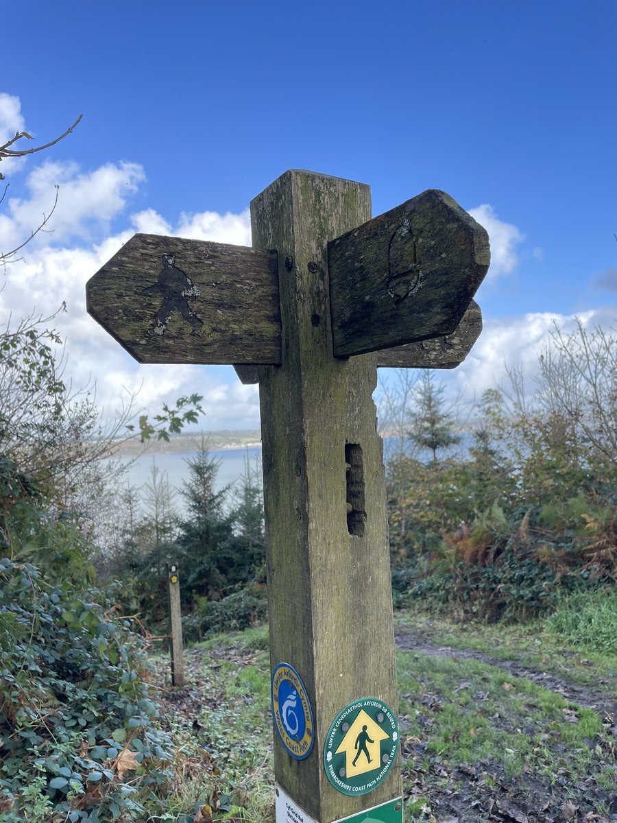 vanessaplain's tweet photo. Pembrokeshire is living up to its reputation. Stunning autumn woodland and coastal views https://t.co/HuE6dPCLZ8
