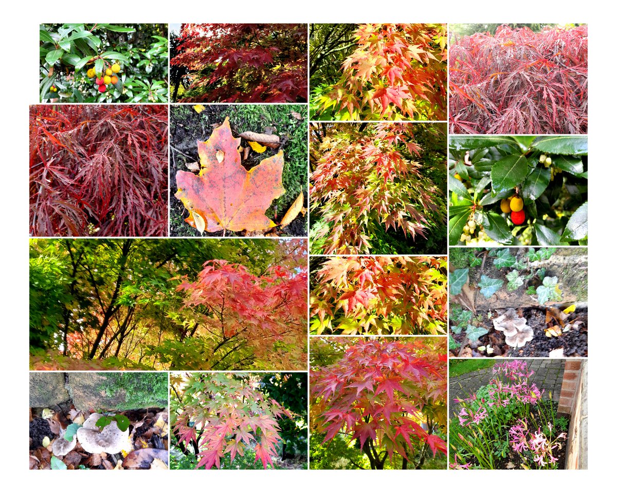 It's autumn in Beeston, Nottingham!