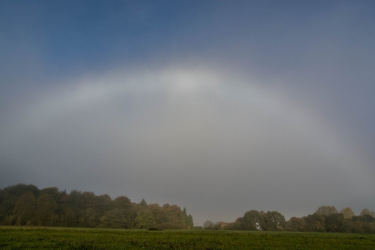 richierich tweet media