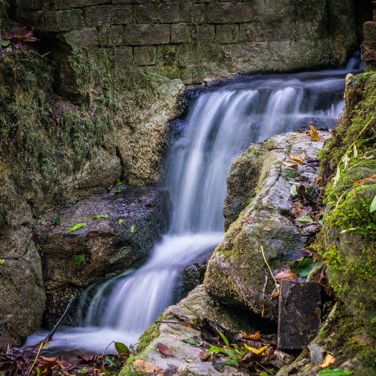 richierich tweet media