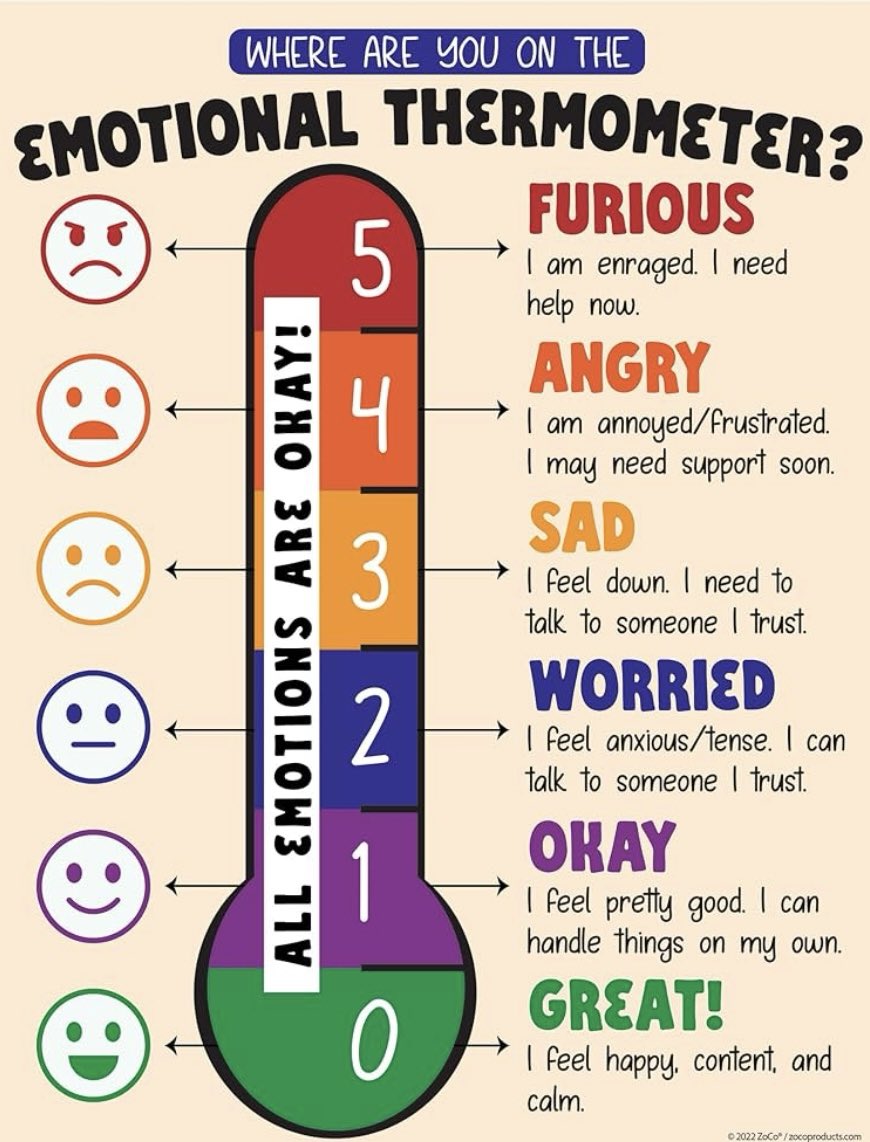 Nice visual to help young people discuss their emotions. 🧠🌱
