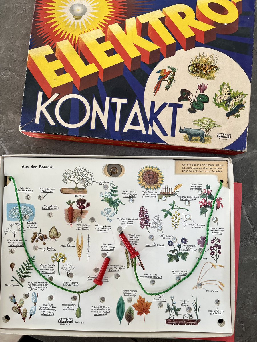 Lilian Leibovitz tweet media