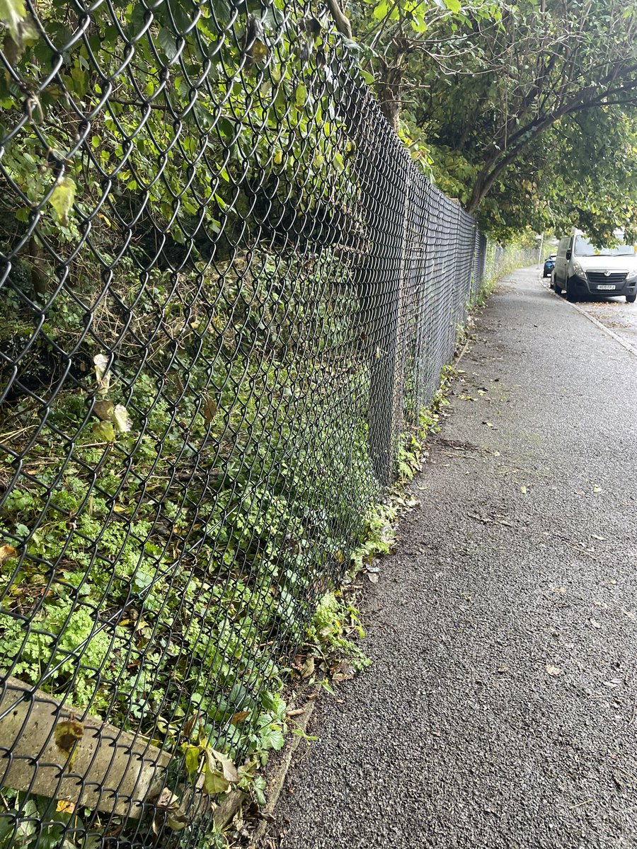It was wonderful to join <a href="/MargaretBird3/">Margaret Bird</a> and dedicated local residents this morning for the cleanup of Glade Pathway. A great example of our community coming together! #OldCoulsdon #community <a href="/CroydonTories/">Croydon Conservatives ☝️🇬🇧</a>