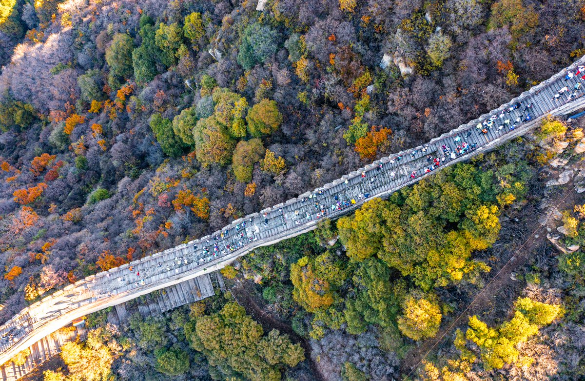 DailyBeijing's tweet photo. On Oct. 19, the two-day 2024 Autumn #Badaling Shixia Pass Great Wall Trail Race kicked off in #Beijing with a drumbeat. #chinatravel #beijingtravel #beijingtravellist #interestingbeijing #funinbeijing https://t.co/JxiTdbgrX2