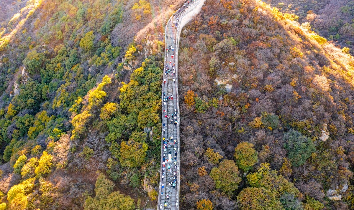 DailyBeijing's tweet photo. On Oct. 19, the two-day 2024 Autumn #Badaling Shixia Pass Great Wall Trail Race kicked off in #Beijing with a drumbeat. #chinatravel #beijingtravel #beijingtravellist #interestingbeijing #funinbeijing https://t.co/JxiTdbgrX2