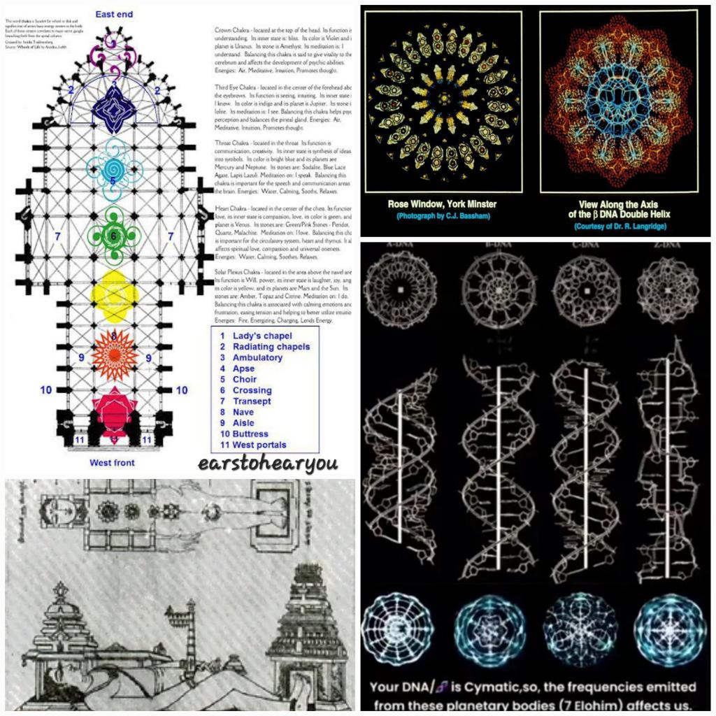 Made in God's image.
Were HUMANS the 'blueprint' for the ancient cathedrals and temples of the past? Places for HEALING, multifunctional, places, that utilised BOTH light and sound, with organs, bells, and CRYSTAL windows... which were added later. Why? What changed/was changed?