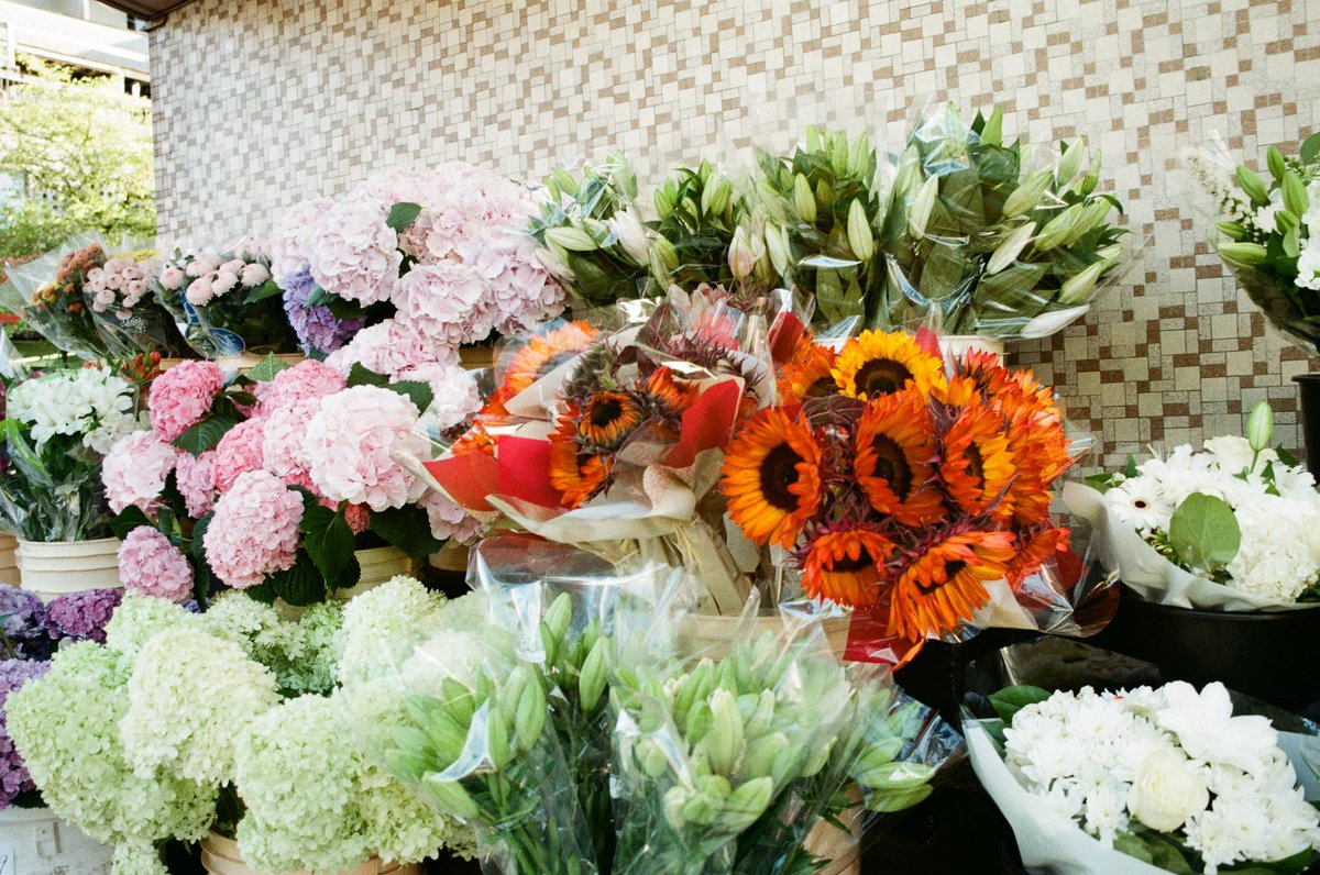 _abikaras_'s tweet image. &amp;gt;ᴗ&amp;lt; it’s my birthday and all i want is job security + смерть всем оккупантам (maybe it will happen?) 

the average price of a pint in the uk is £5.17 (apparently) so if you fancy celebrating another year of me you can buy me a virtual pint by donating to @kharpproject