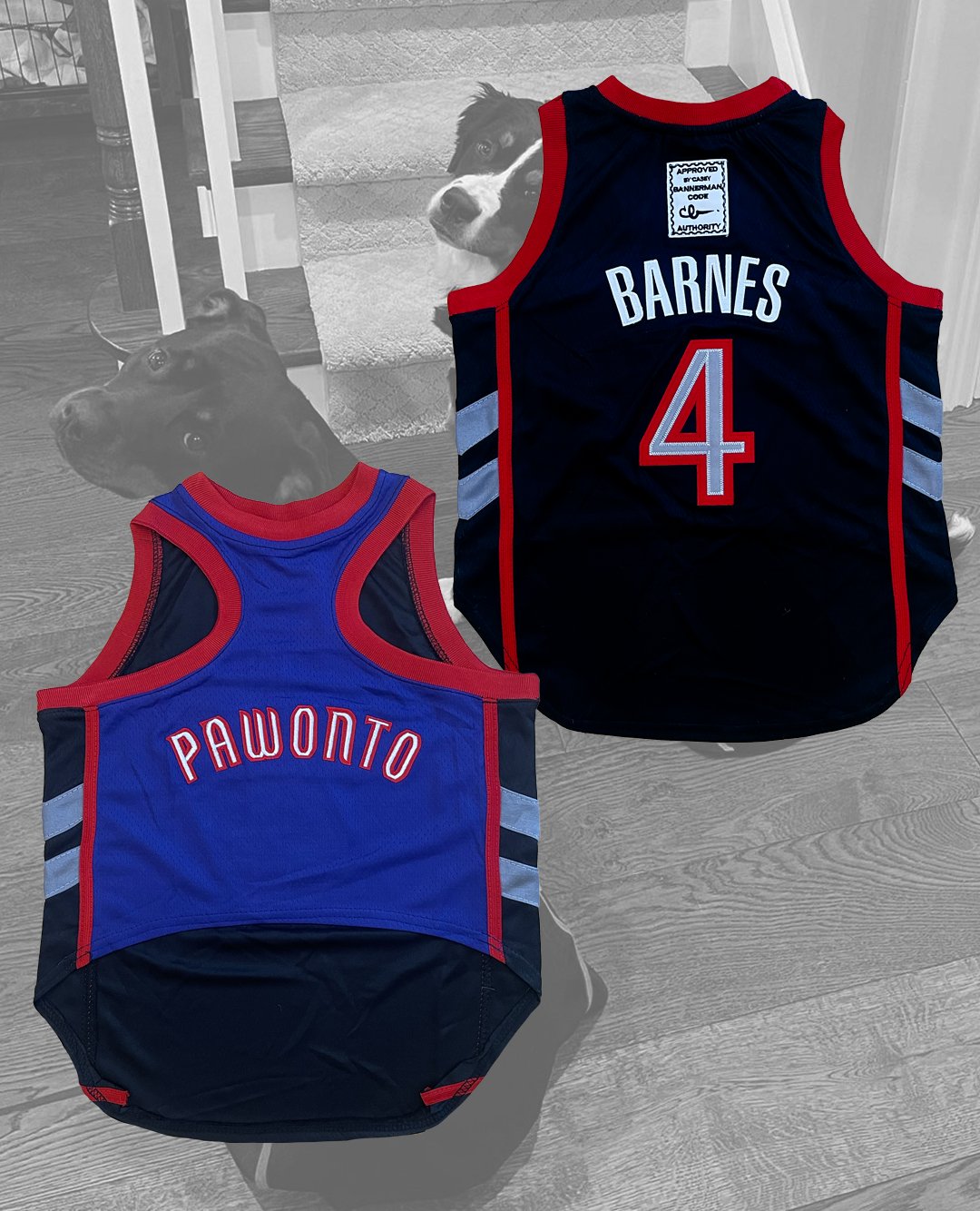 Casey on X AVAILABLE NOW SCOTTIE SUPPORTS DOG CHARITIES YOU SHOULD TOO INTRODUCING THE PAWONTO SCOTTIE BARNES DOG JERSEY XS TO 3XL A PORTION OF ALL