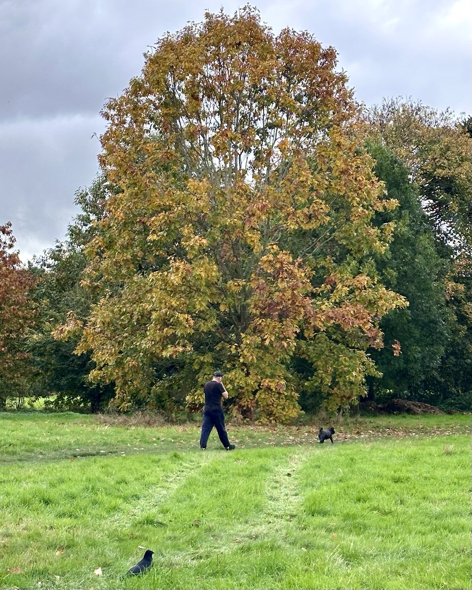 JimDavisOnAir's tweet image. We managed to sneak out this afternoon with the dogs for some #LeafPeeping (which my other half doesn't believe is 'a thing')! Let me know what your weekend has in store &amp;amp; I'll be with you from 4pm @magicfm with the perfect #weekend tunes to get you set for an #autumn #NightIn!