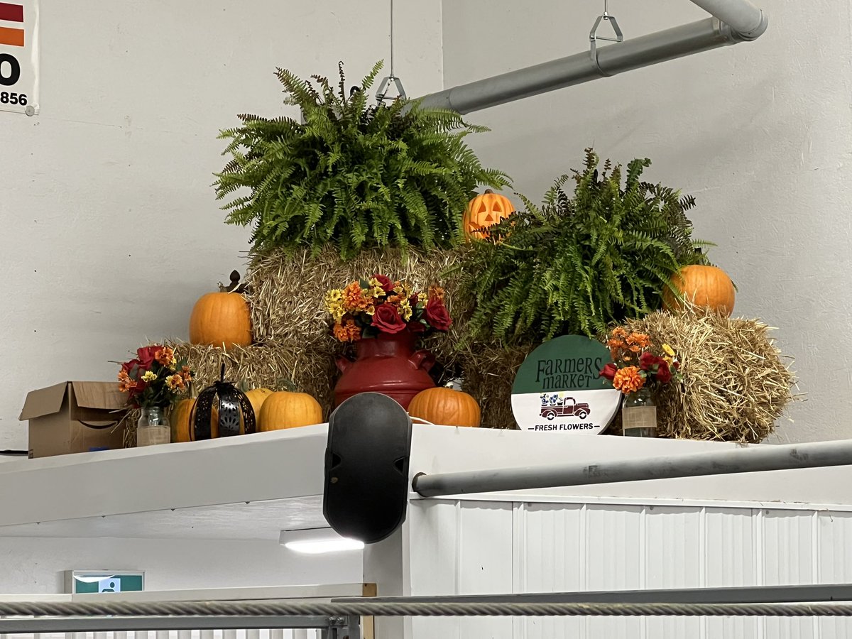 farmgirlkjb's tweet photo. We dressed up our sales barn ! Ready for a busy busy day! #strattonsalesbarn #rainyriverraised https://t.co/lHYYrCr5go