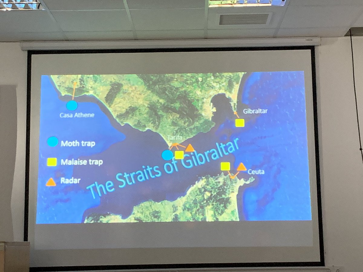 The second talk of the day given by <a href="/WillLeoHawkes/">Dr Will Leo Hawkes</a> on moth migration for the 2nd Iberian moths meeting held at CIMA, Tarifa. Such an interesting talk, many thanks Will! #mothsmatter #insectmigration