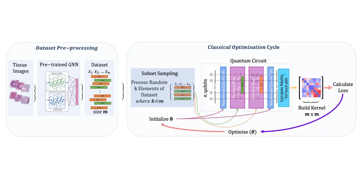 Newly published in Quantum: Efficient Parameter Optimisation for Quantum Kernel Alignment: A Sub-sampling Approach in Variational Training by M. Emre Sahin, Benjamin C. B. Symons, Pushpak Pati, Fayyaz Minhas, Declan Millar, Maria Gabrani, S... doi.org/10.22331/q-202…