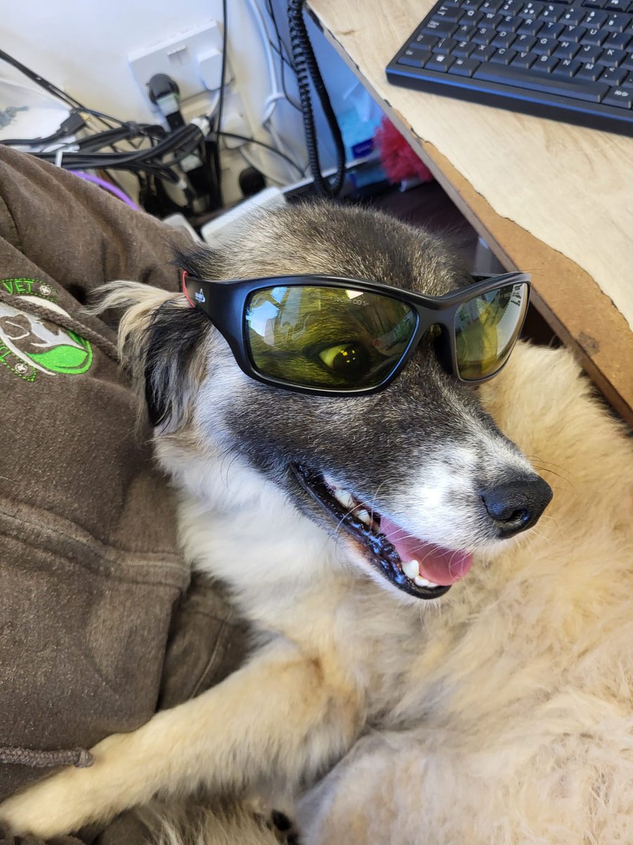 clara 🐇 (@karasawr) on Twitter photo 