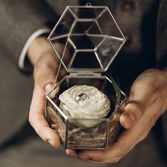 MORIUCHI FAMILY tweet media