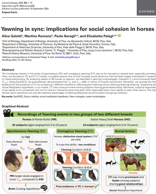 Alice Galotti tweet media