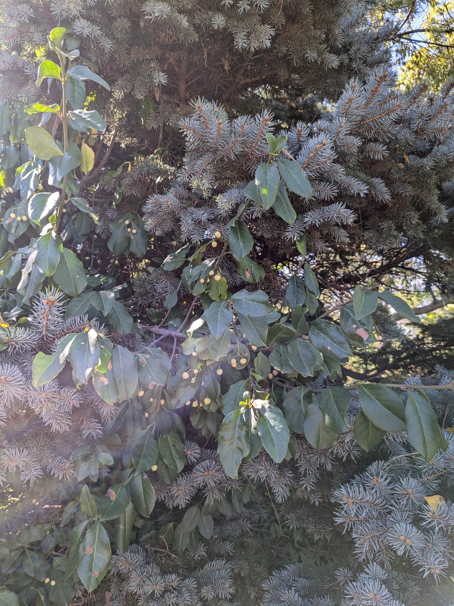 d_bead's tweet image. Good 😊 vibes 💓 #dailywalking #dailyexercise #dailyselfcare 💗🌞