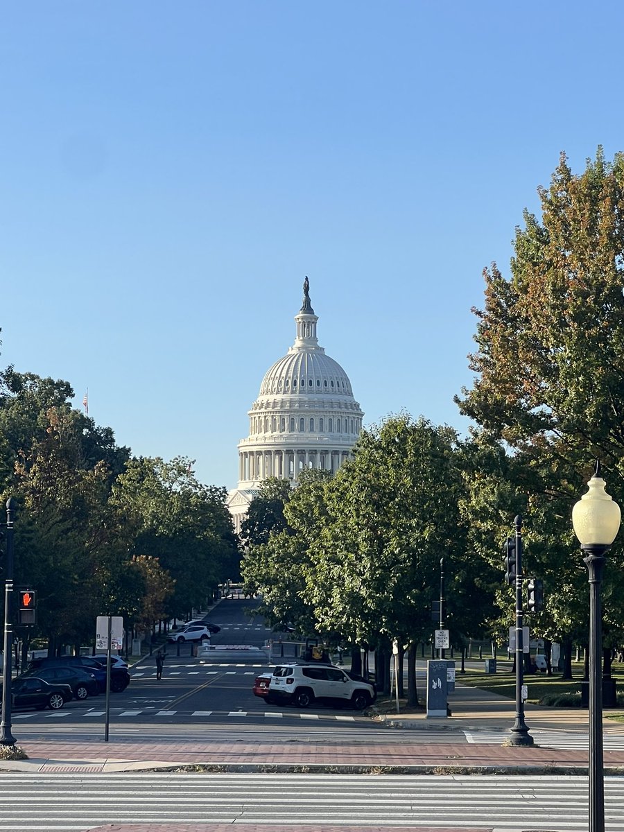 ChonyAlbertMD's tweet photo. Baby #Stenty getting ready to depart Washington DC. Wrapping up an excellent @SCAI #ScaiShock2024 meeting. America Land Of The Free- may you remain free with liberty and justice for all. https://t.co/N5VDMhD144
