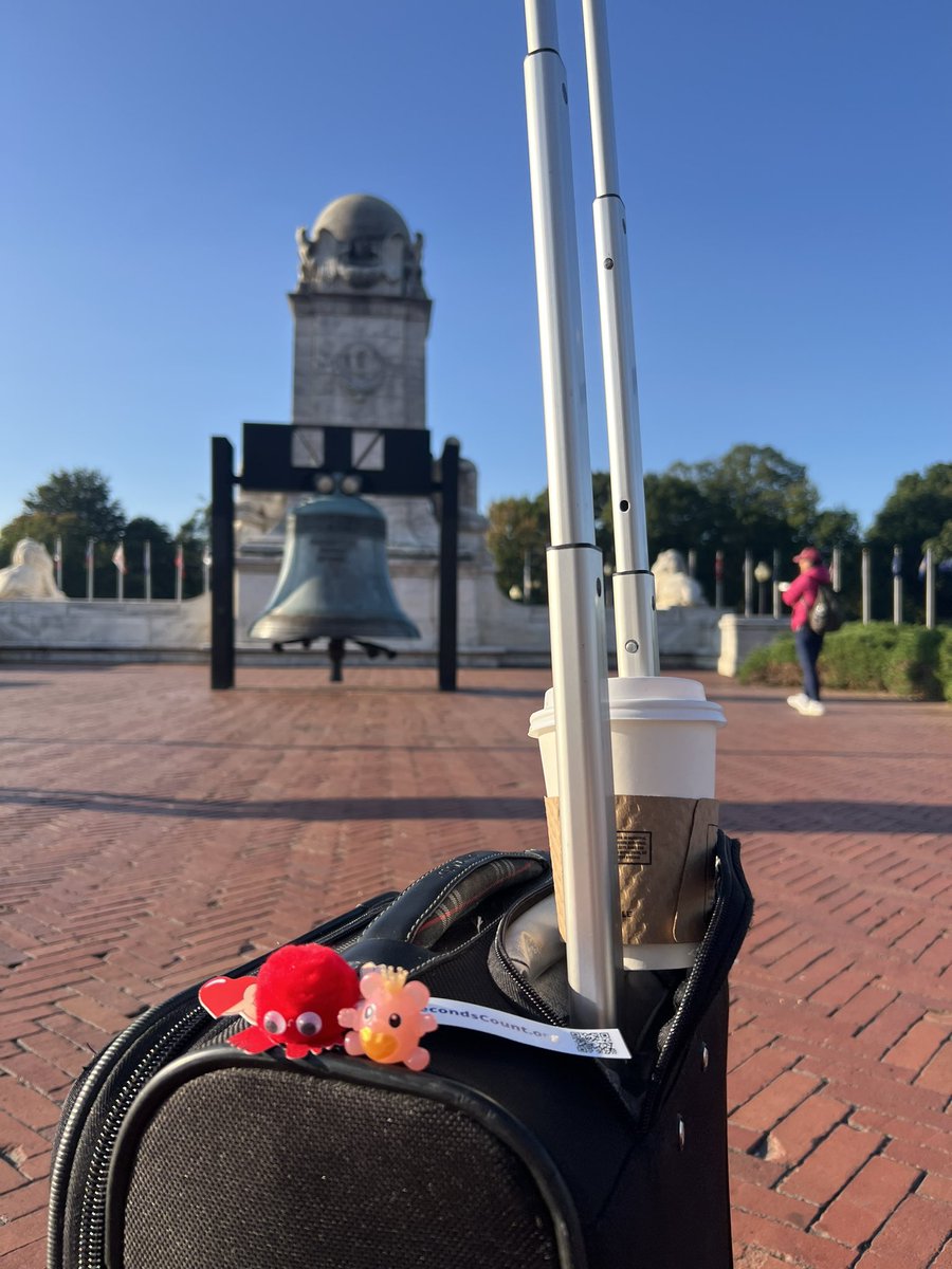 ChonyAlbertMD's tweet photo. Baby #Stenty getting ready to depart Washington DC. Wrapping up an excellent @SCAI #ScaiShock2024 meeting. America Land Of The Free- may you remain free with liberty and justice for all. https://t.co/N5VDMhD144
