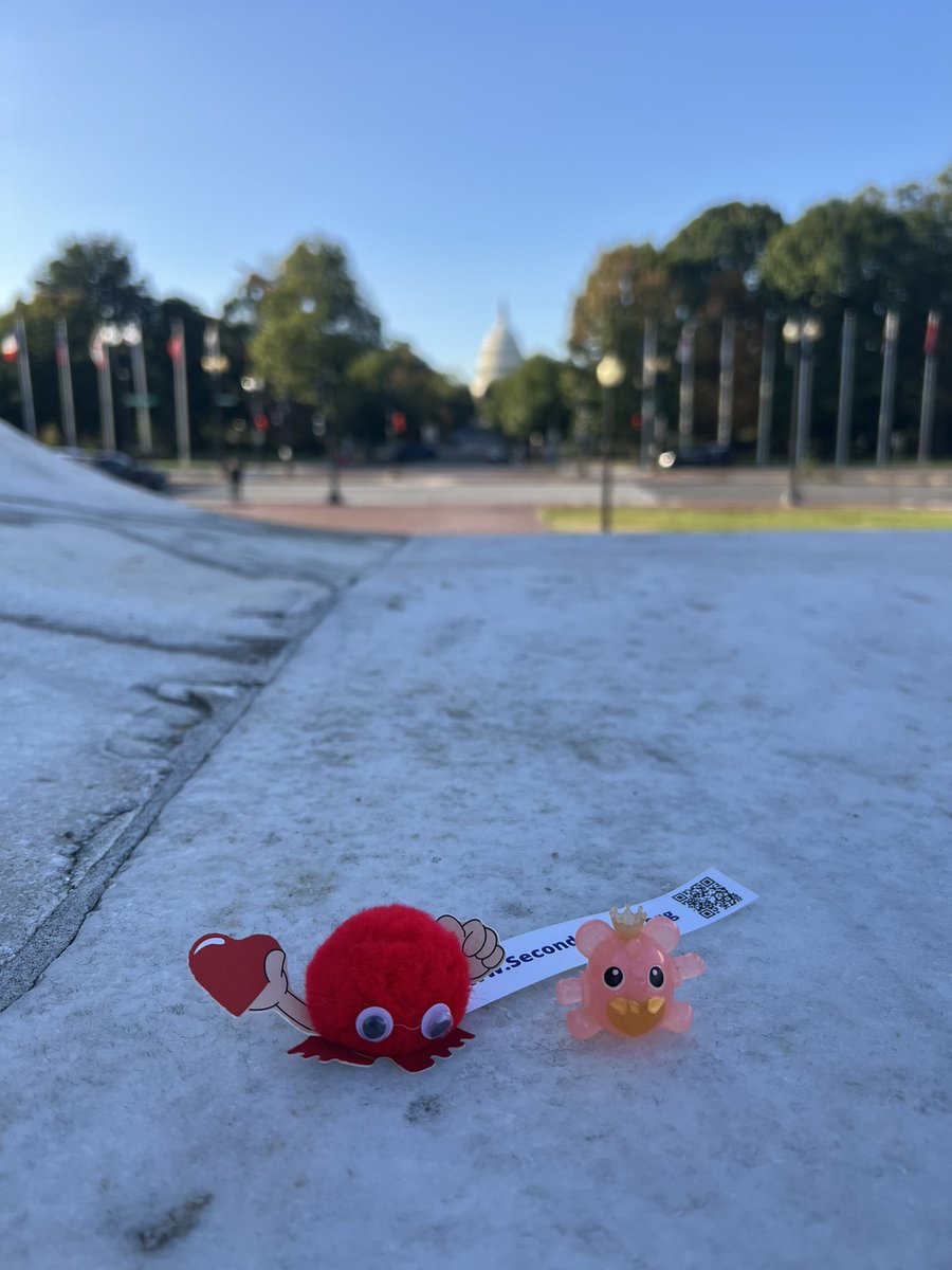 ChonyAlbertMD's tweet photo. Baby #Stenty getting ready to depart Washington DC. Wrapping up an excellent @SCAI #ScaiShock2024 meeting. America Land Of The Free- may you remain free with liberty and justice for all. https://t.co/N5VDMhD144