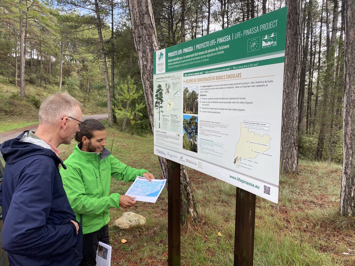 LColl_'s tweet photo. Great discussions this week in the field with Palle Madsen from InNovaSilva in the context of @eco2adapt activities. Always fun to discuss afforestation potential in Europe from different perspectives and forestry traditions. Thxs @E_Collado_ for the visit to #LifePinassa sites! https://t.co/4bHd0eYAO9