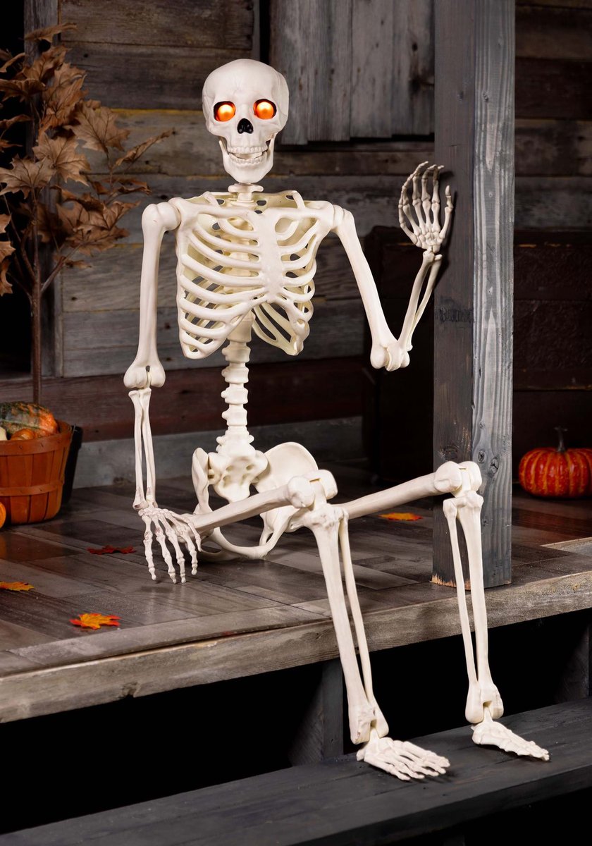 WadeJo8's tweet photo. Hello, it’s #SkeletonSaturday https://t.co/VOcBBtLBcd