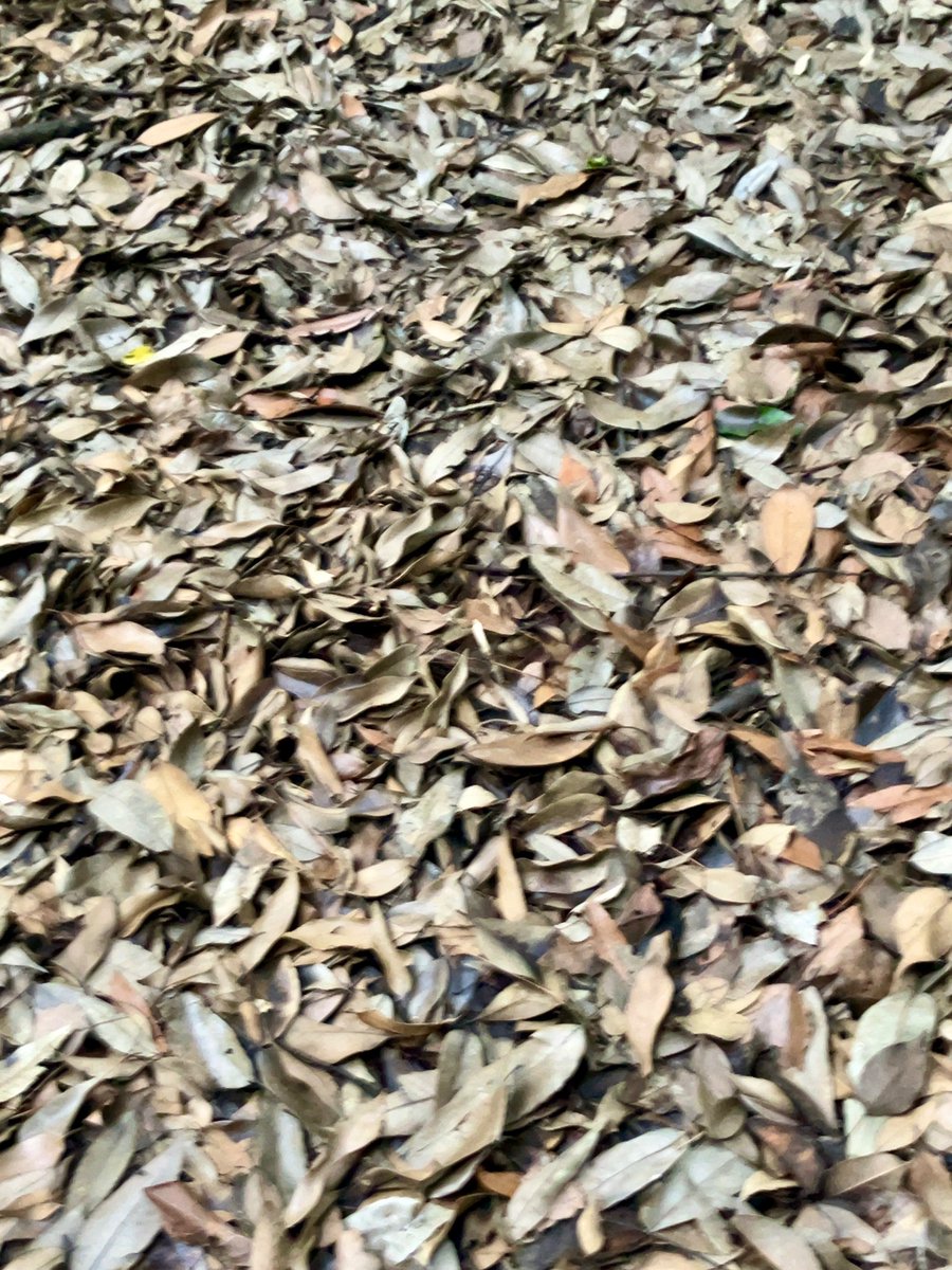 Hi there!

It's the weekend in a flash🤯

#JapanTravel #Japantrip
#picture #photos
#Japanesenature #日本