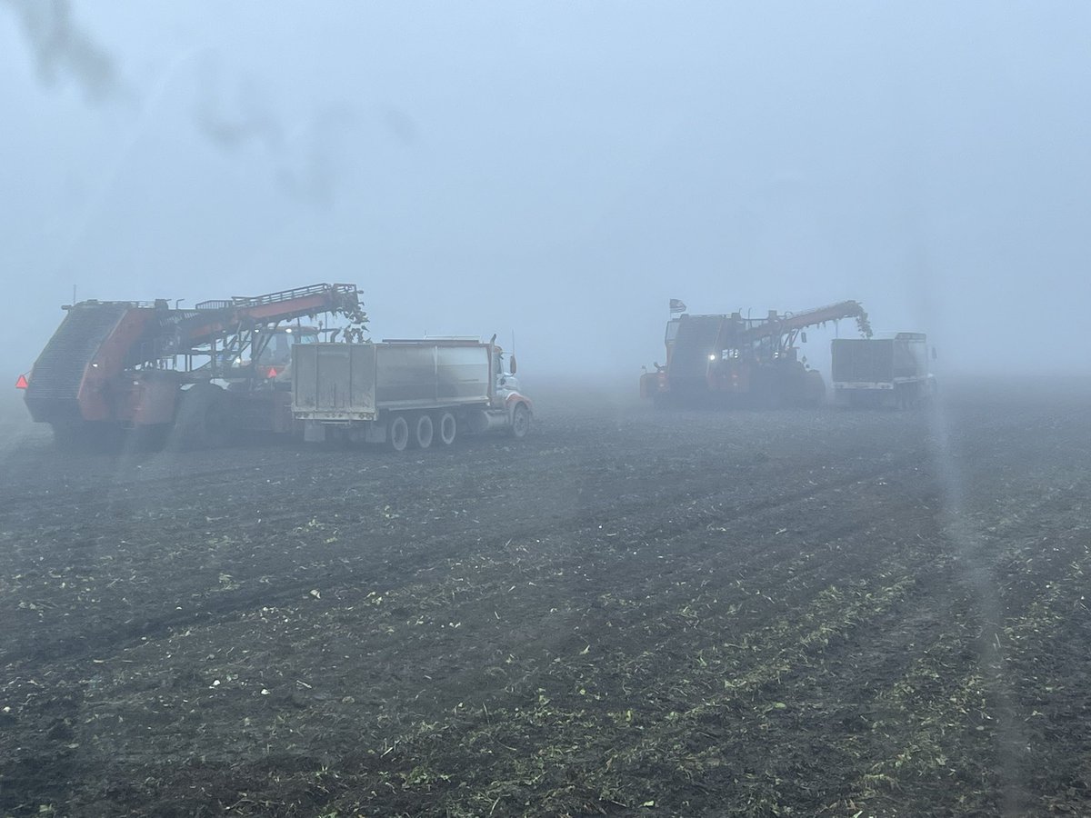 jacestrand22's tweet photo. Little foggy and greasy today https://t.co/YO2NqZmX2f