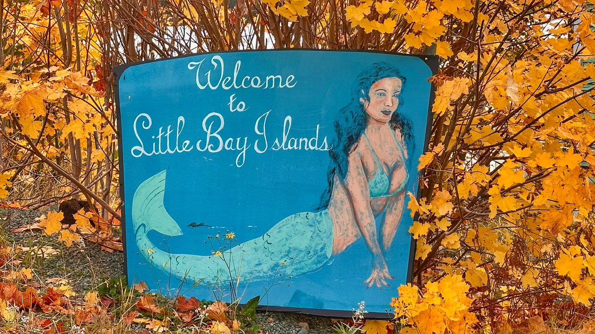 €lsie Russe|| ❄ tweet media