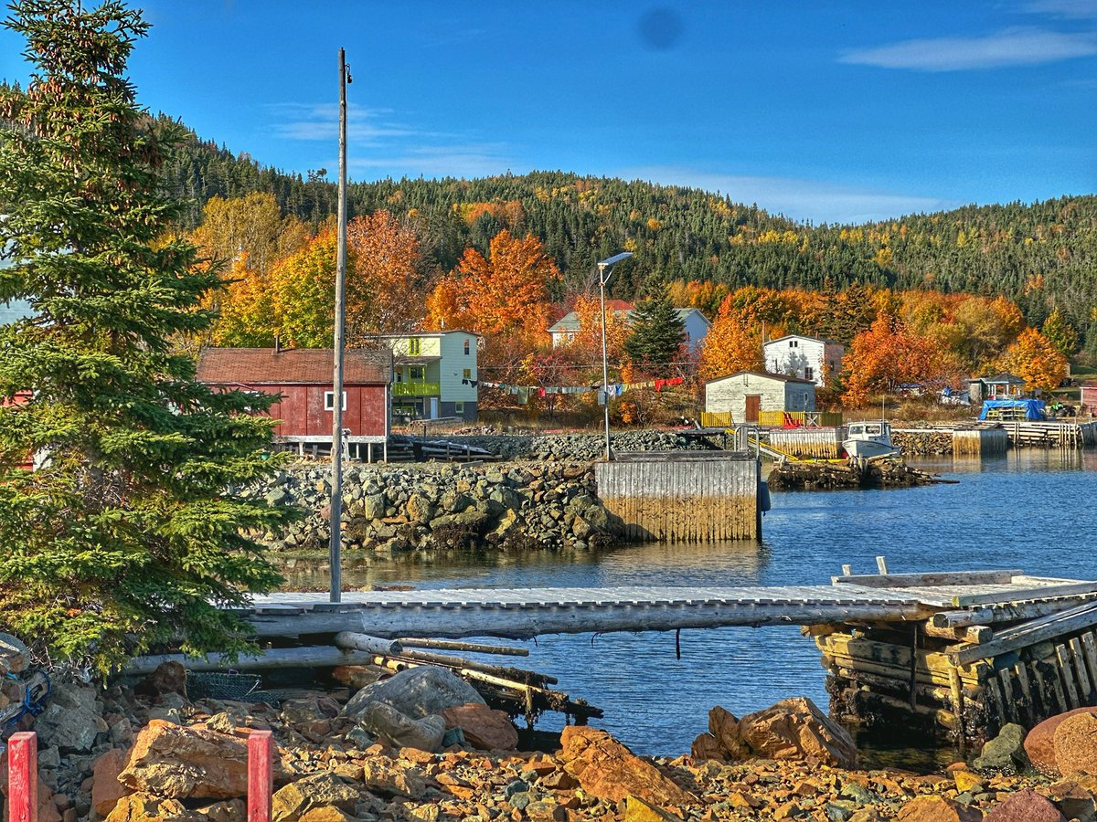 €lsie Russe|| ❄ tweet media