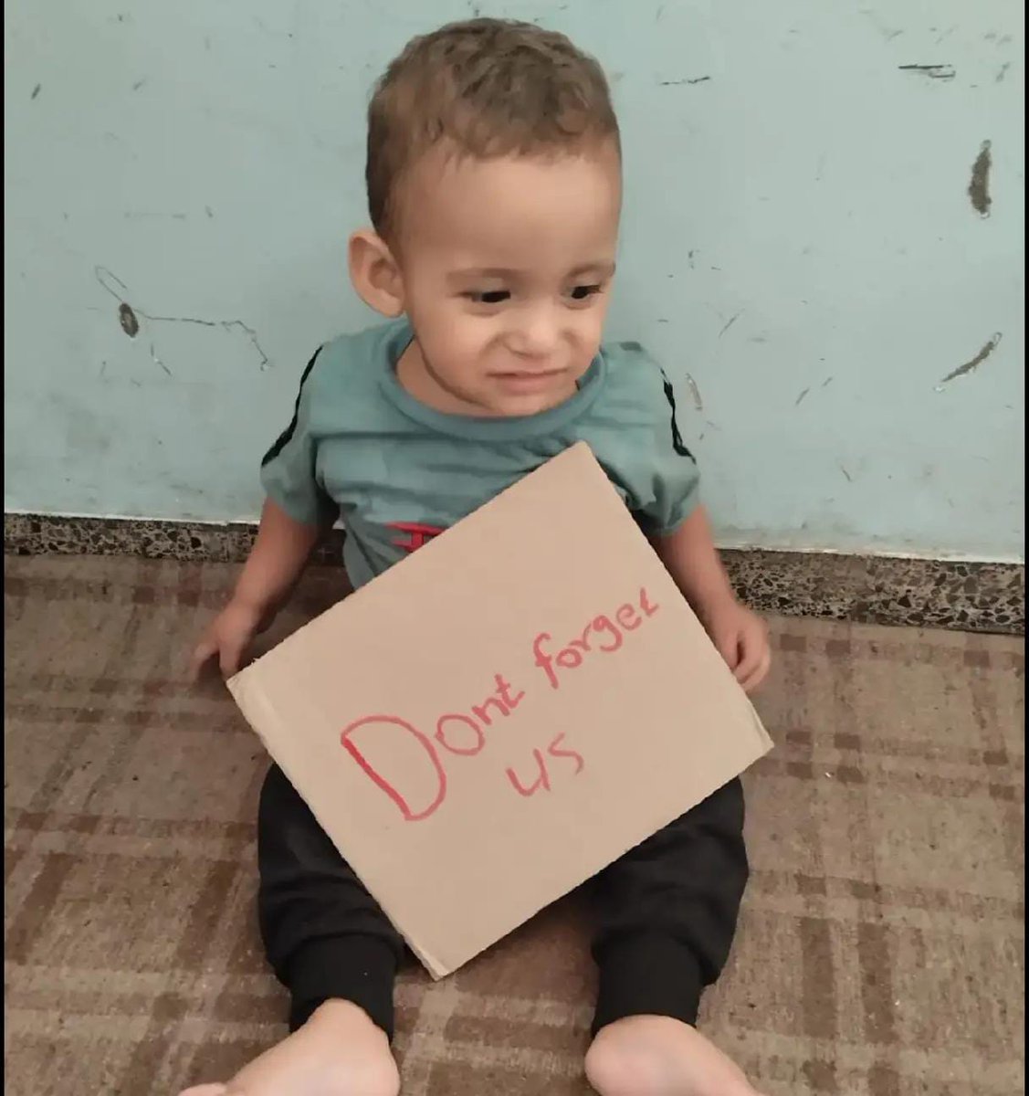 HidayatKhan_SSG's tweet photo. @AdameMedia Save Ghaza 🥹 
Save Palistine 🇵🇸🥹💔 https://t.co/SzeqT6blpq