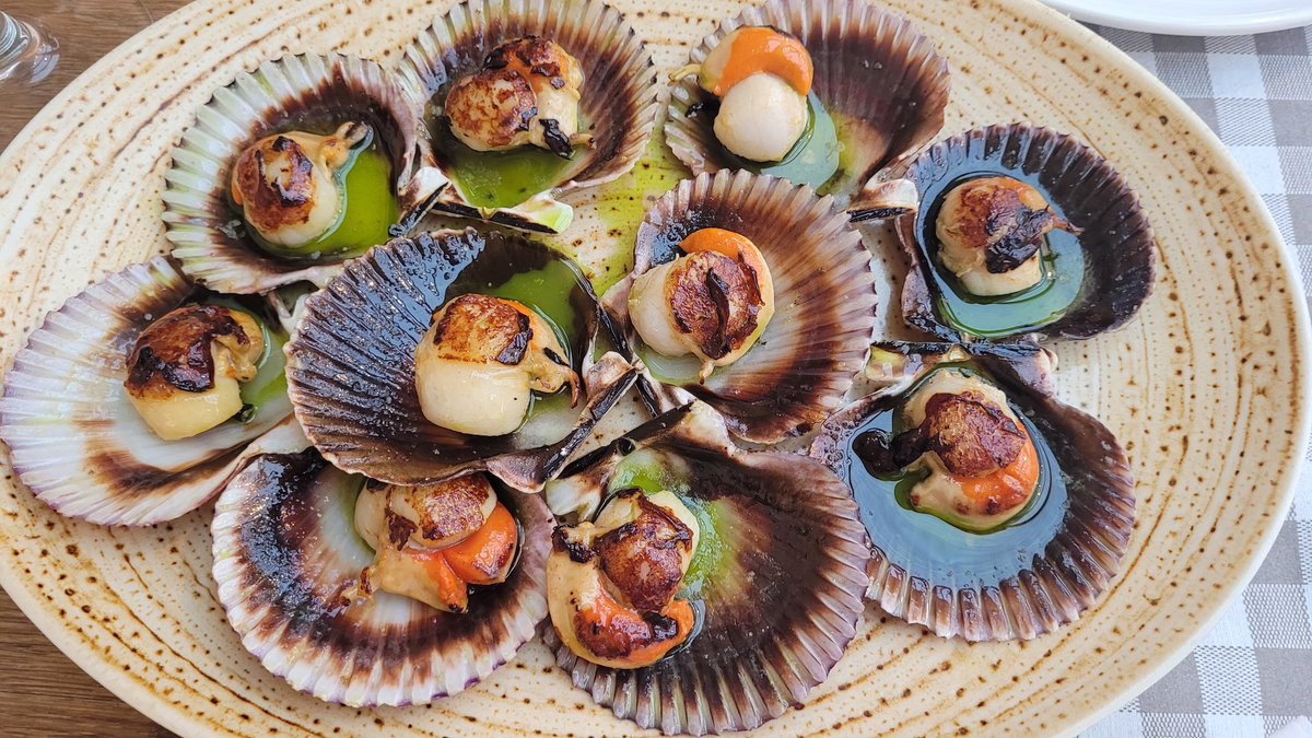 A por la victoria equipo <a href="/SanPabloBurgos/">Recoletas Salud San Pablo Burgos</a>