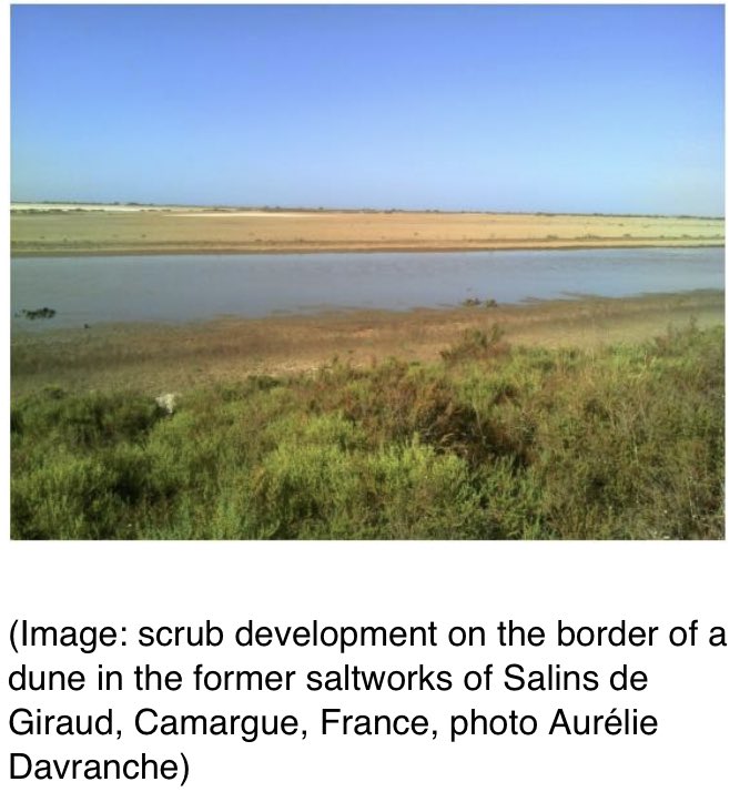 Davranche Aurélie (@audavranche) on Twitter photo Our work in #Camargue presented on 24/10 in <a href="/LandscapesLive/">Landscapes Live</a> seminars. „From field to space: #multisource_data to show how a #nature_based management can help to cope for sea level rise in the #Mediterranean area“.<a href="/CelineArzel/">Céline Arzel</a> <a href="/LammiStation/">LBS</a> <a href="/UnivAngers/">Université d'Angers</a> <a href="/TourduValat/">Tour du valat</a> <a href="/UnivAngers/">Université d'Angers</a> Our work in #Camargue presented on 24/10 in <a href="/LandscapesLive/">Landscapes Live</a> seminars. „From field to space: #multisource_data to show how a #nature_based management can help to cope for sea level rise in the #Mediterranean area“.<a href="/CelineArzel/">Céline Arzel</a> <a href="/LammiStation/">LBS</a> <a href="/UnivAngers/">Université d'Angers</a> <a href="/TourduValat/">Tour du valat</a> <a href="/UnivAngers/">Université d'Angers</a>