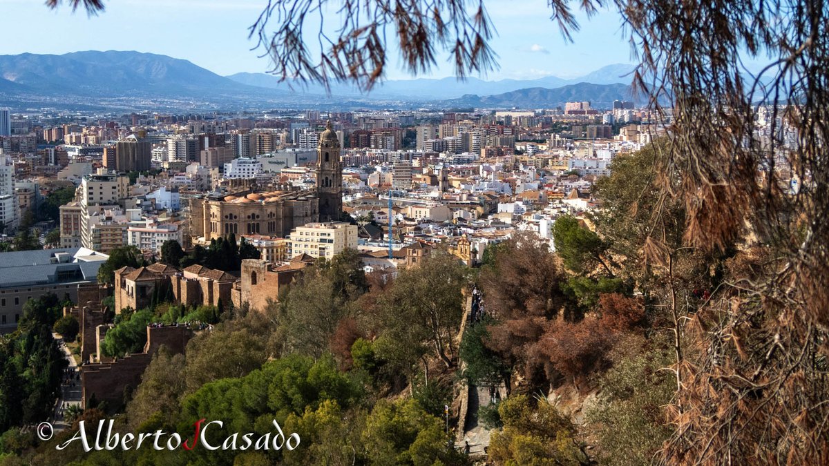 AlbertoJCasado tweet media