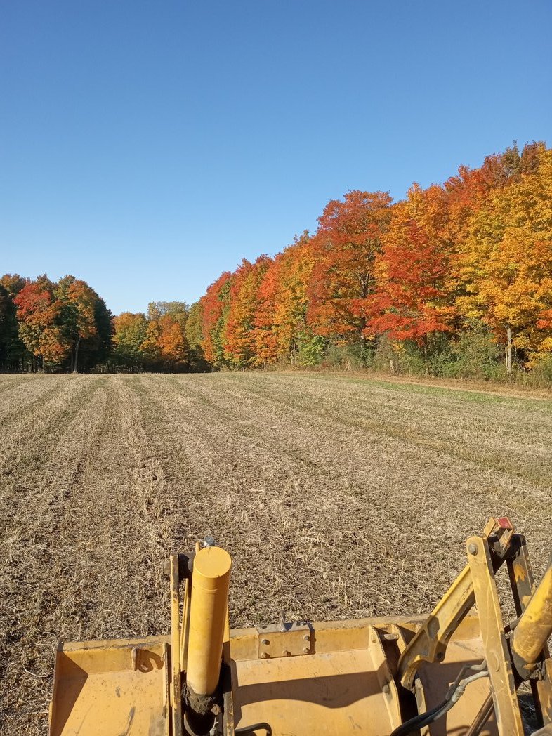 OBaigent's tweet image. Most colorful corner on the farm