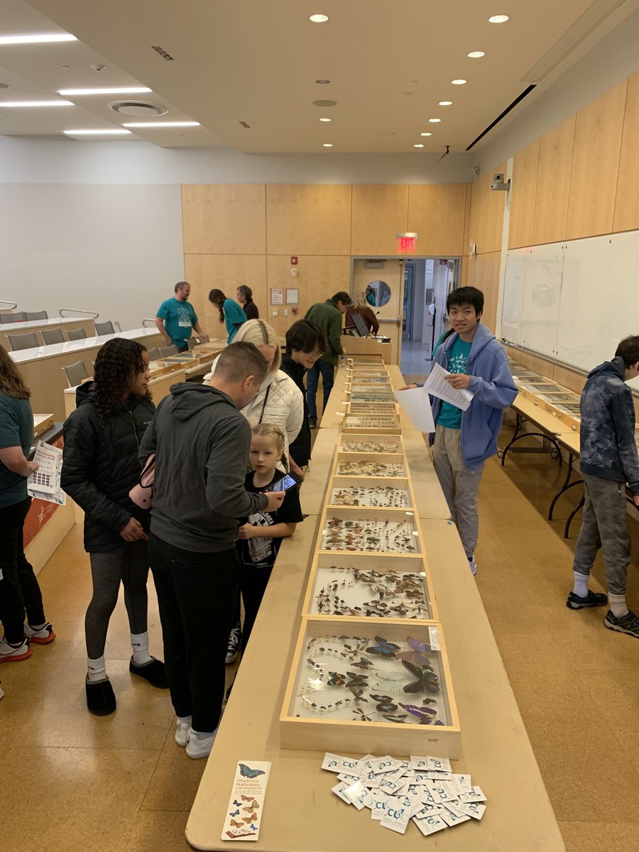 Cornell University Insect Collection tweet media