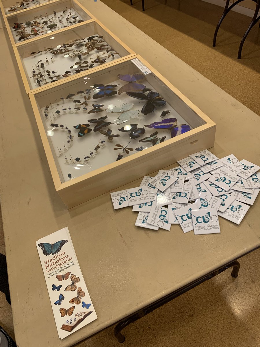Cornell University Insect Collection tweet media