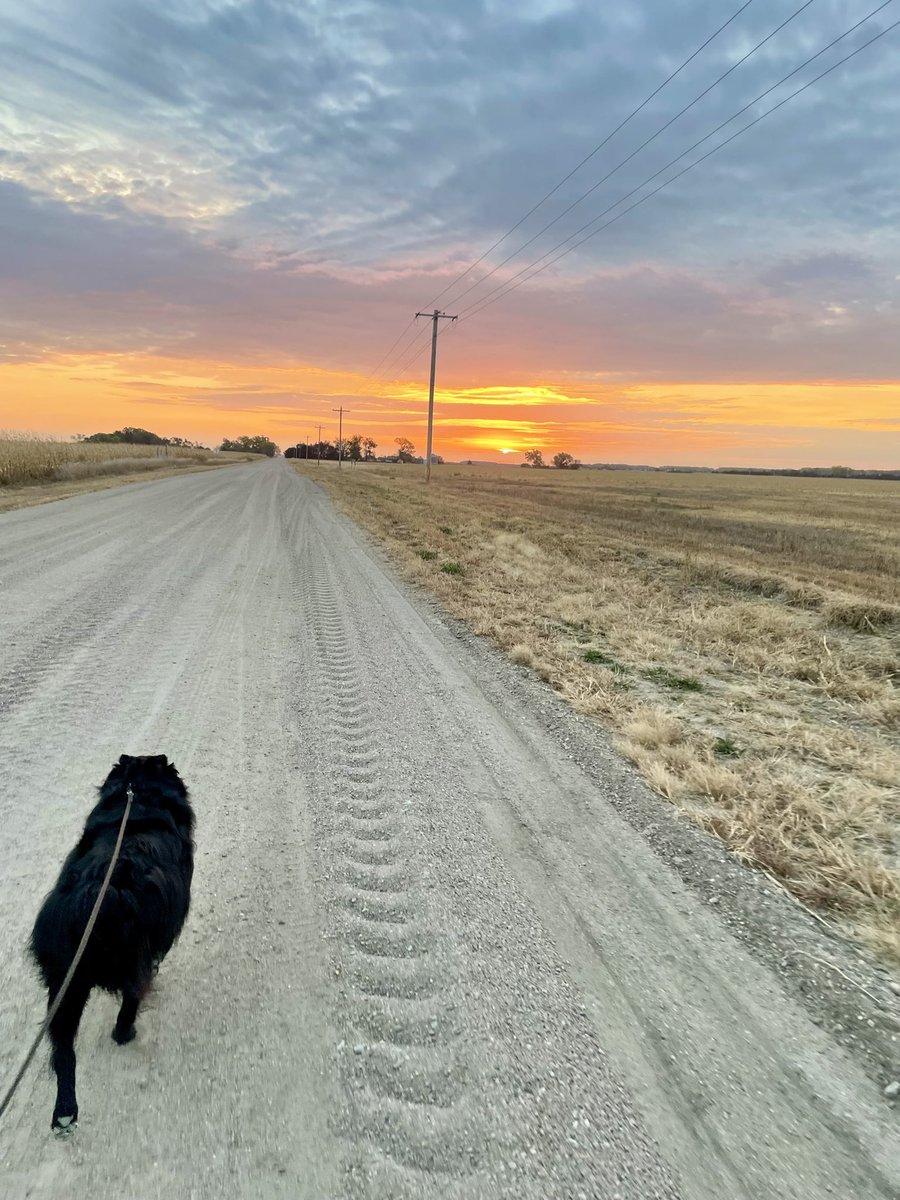 Morning run views are the best views….