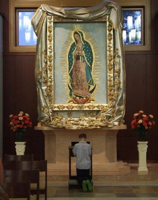 Nunca te arrepentirás de haberle dado Me gusta a esta foto 

💝