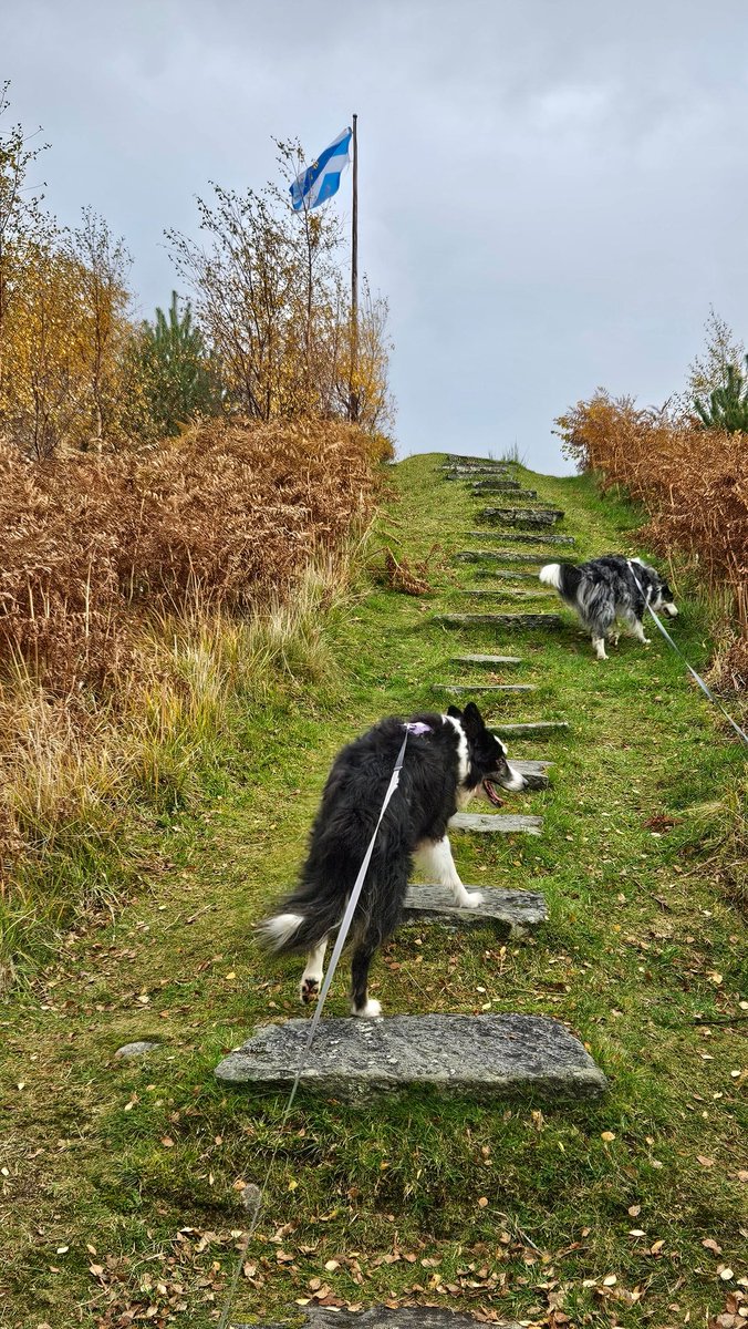Beautiful autumn day at Creag Meagaidh National Nature Reserve 
The calm before Storm Ashley 
#scotland #autum #StormAshley