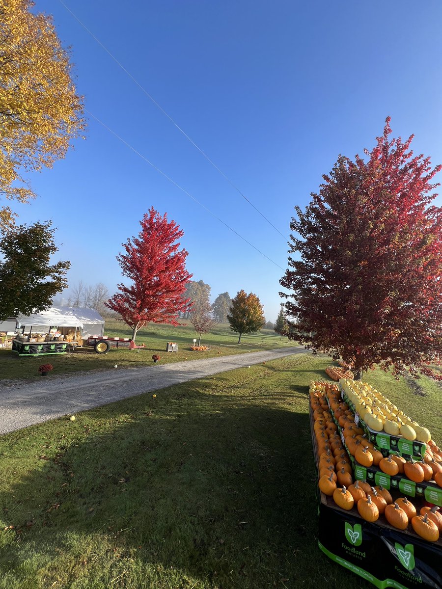 Indian River Acres tweet media