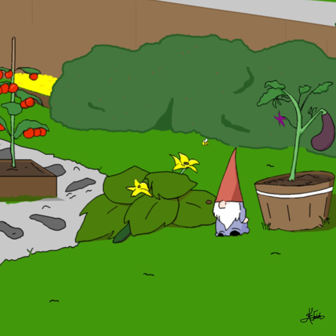 KC Fetch-Author tweet media