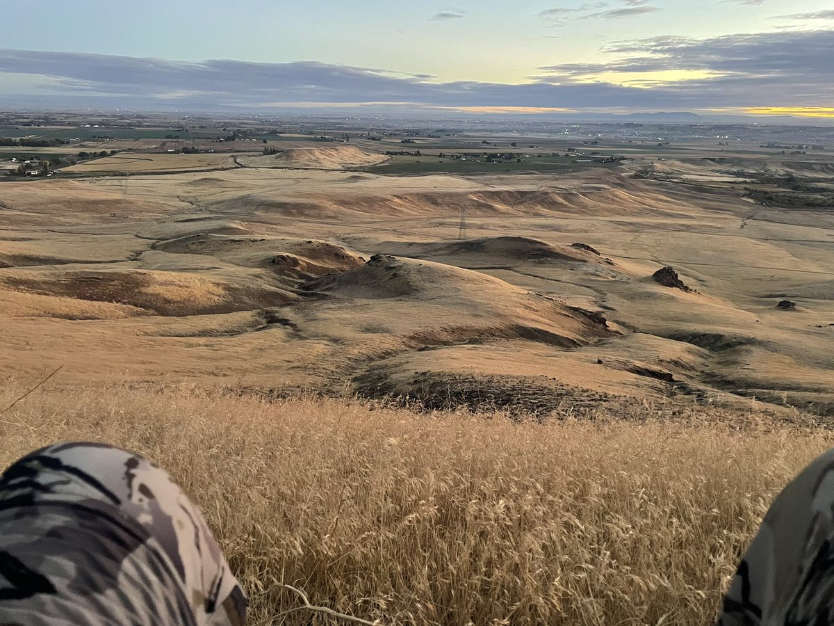 8woodys's tweet photo. My Saturday morning 🦌 https://t.co/GeYBEyQt4a